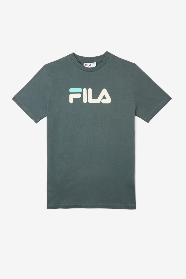 μπλουζάκι αετού Fila Urban Chic/τρυγόνι/μπλε