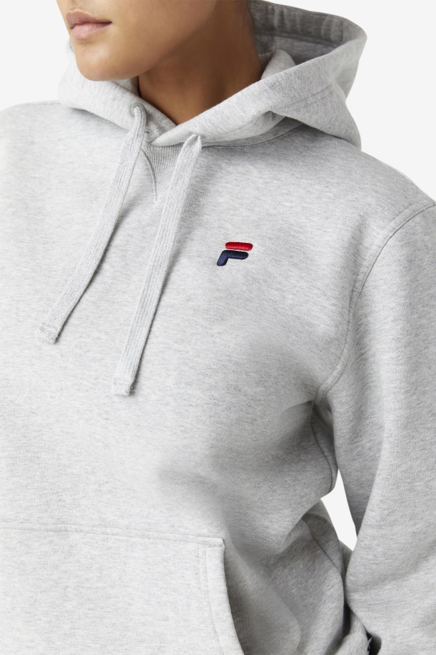 ανοιχτό γκρι Godfrey Hoodie Fila