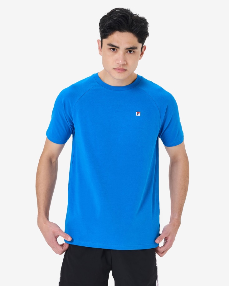 ανδρικό μπλουζάκι Skydiver Hannes Tee Fila